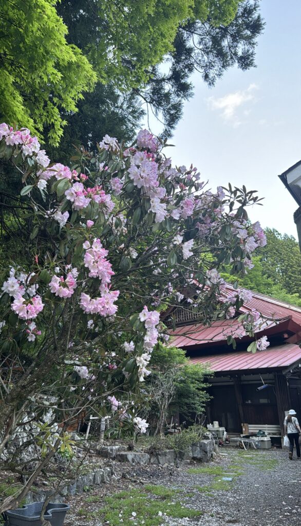 Taiyoji Temple