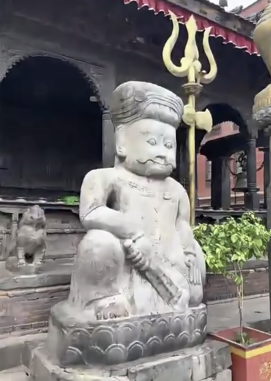 Nepal Virtual