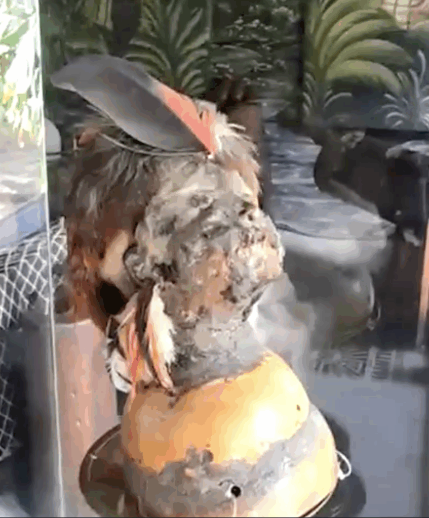 Ecuador Overall Reflections